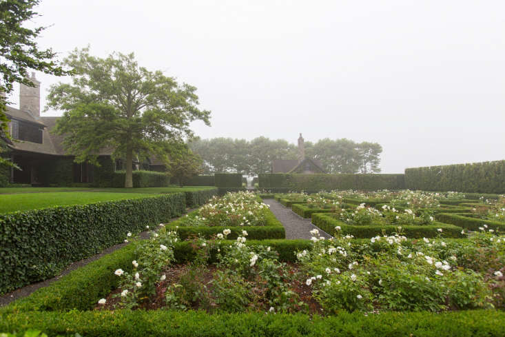 Close-clipped boxwood hedges provide a strong structural backdrop for white roses in a sunken garden designed by landscape architect Quincy Hammond. Photograph courtesy of Quincy Hammond Landscape Architect.