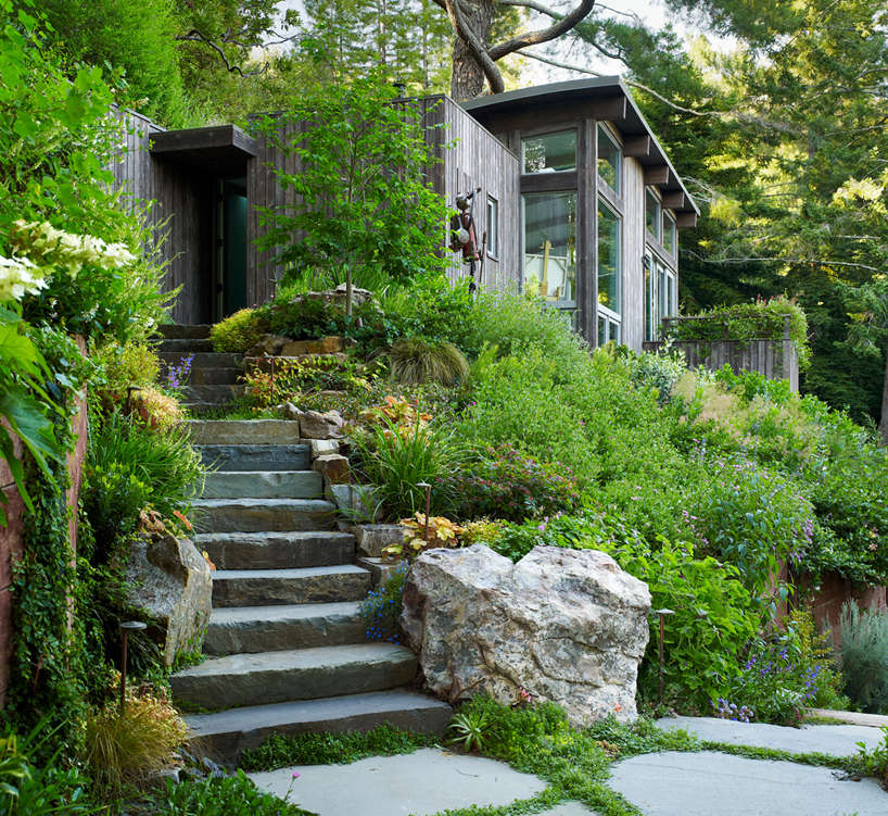 feldman-architecture-mill-valley-cabins-with-outdoor-stone-garden-stairs-gardenista-larger