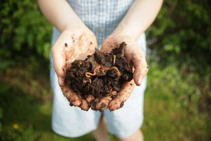 10 Things Nobody Tells You About Your First Garden