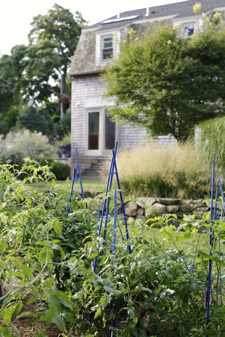 10 Things Nobody Tells You About Starting a Vegetable Garden