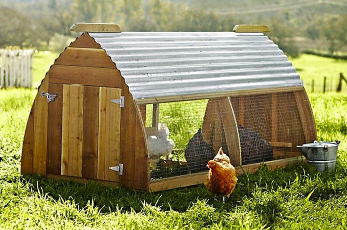 5 Favorites: Backyard Chicken Coops for Small Flocks 