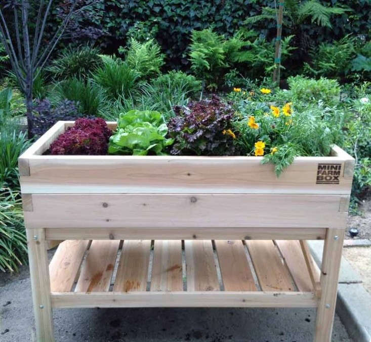 The Gardenista 100: Best Elevated Planter Boxes: Gardenista