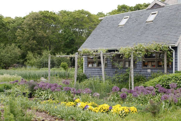 Eva’s Garden in Dartmouth, MA grows more than 200 kinds of uncommon herbs, greens, and edible “weeds” that are highly coveted by Boston’s best chefs. Photograph by Christine Chitnis for Gardenista, from Boston’s Best-Kept Secret: Eva’s Organic Garden.