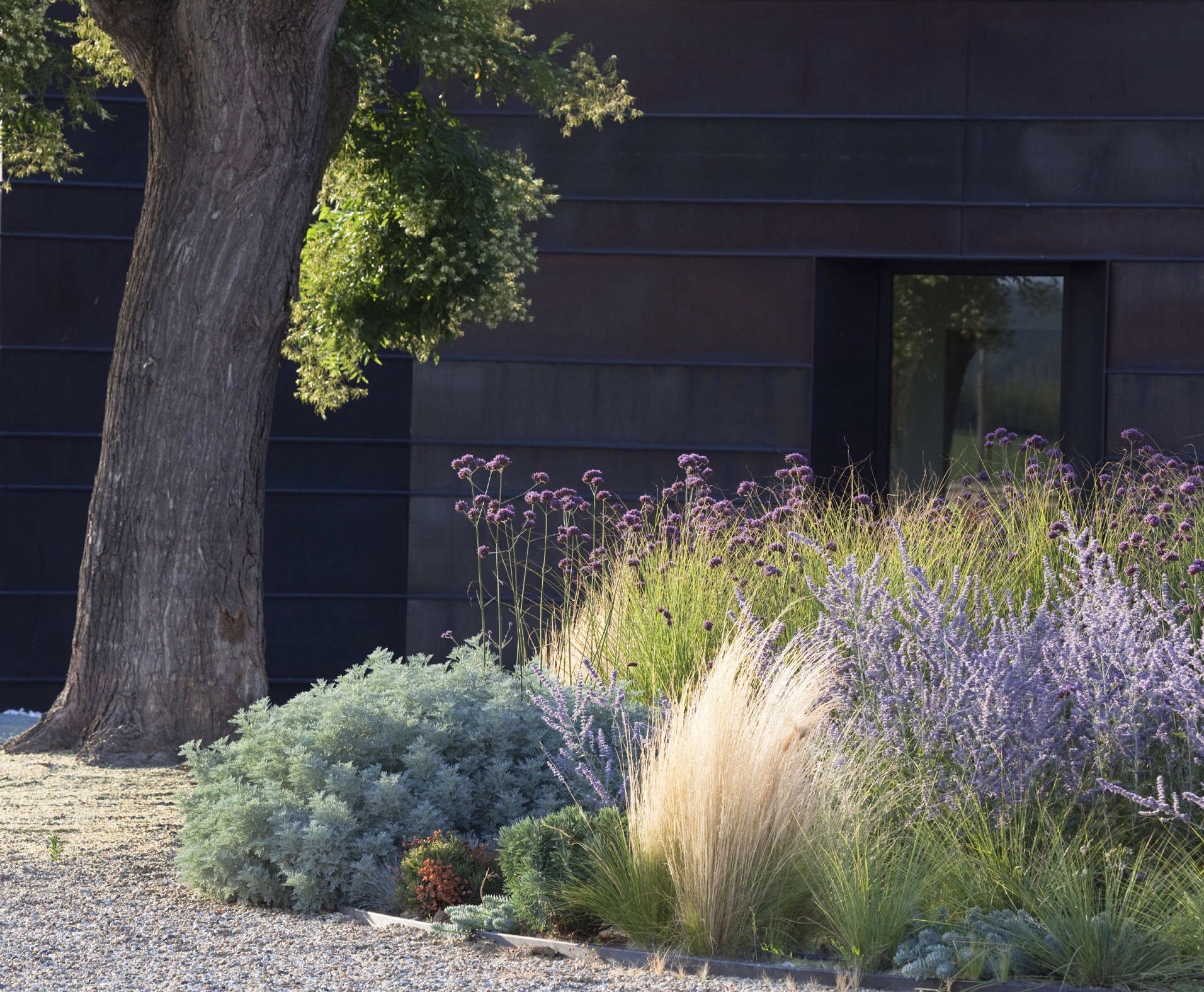 Gossamer Gardens: 11 Ideas for Landscaping with Mexican Feather Grass