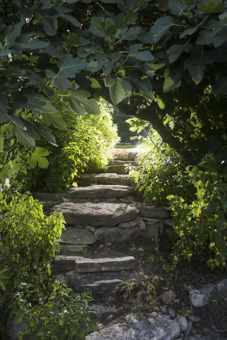 Bee-Cave-Tait-Moring-DB-path-stairs-Gardenista