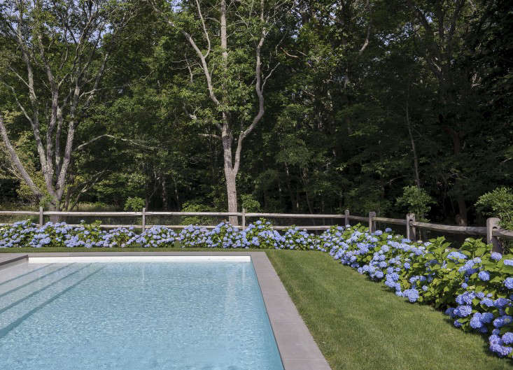 tiina-laakonen-hamptons-NY-swimming-pool-gardenista