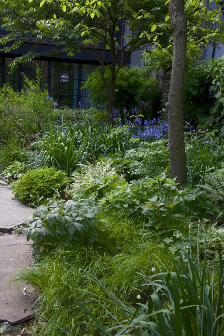 Landscaping: 10 Classic Layouts for Townhouse Gardens ...