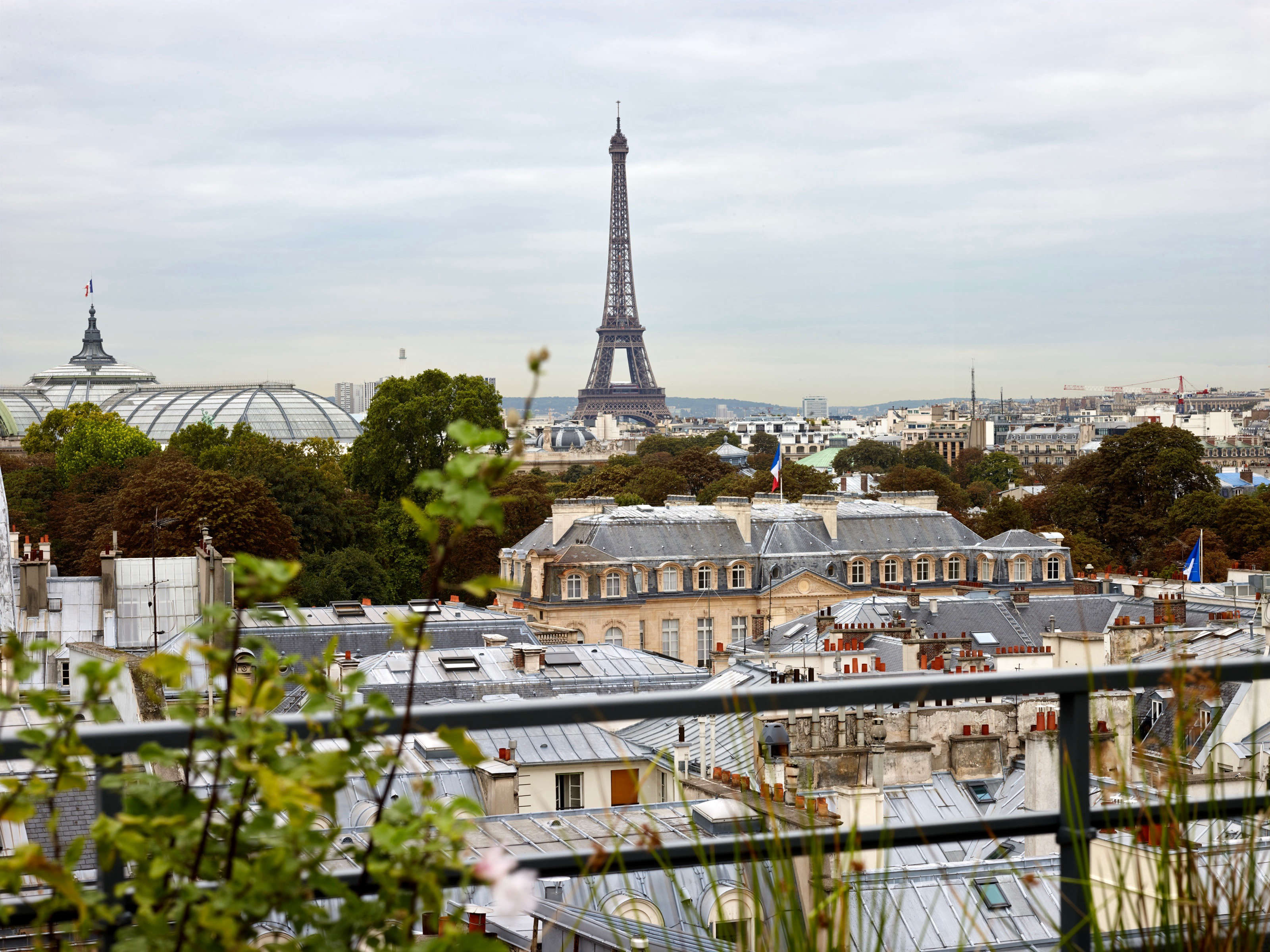 Secret Paris: A Tiny Roof Garden with an Eiffel Tower View: Gardenista