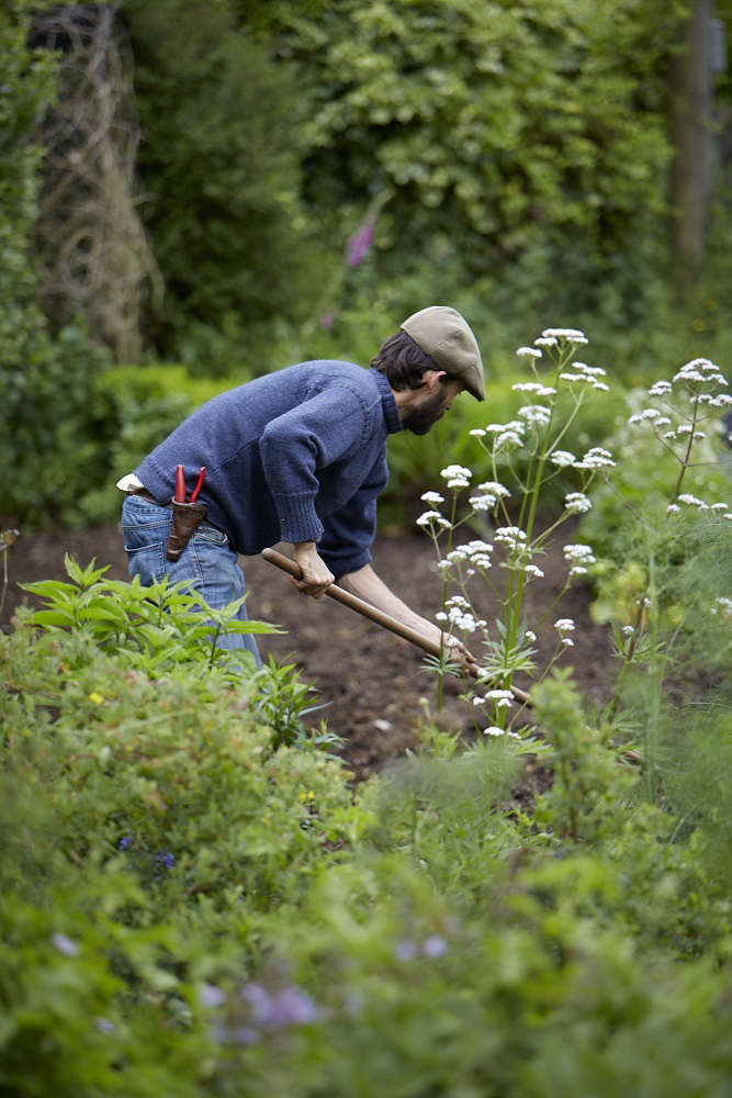 The Garden Decoder: What Does ‘Organic Gardening’ Really Mean?