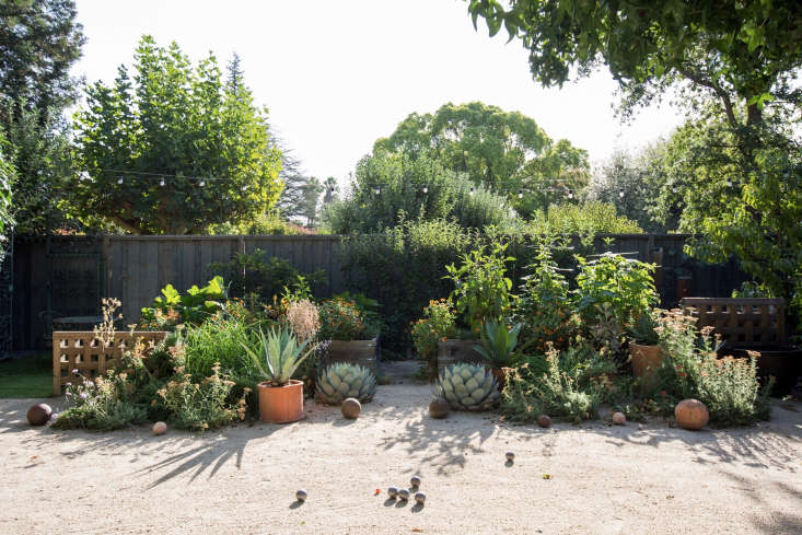 The view from the back of the house is of Clay&#8\2\17;s gravel garden, in which a mix of edibles (in raised beds) and ornamentals including low-water perennials and succulents co-exist happily. The impressive Agave parryi succulents flanking the center walkway &#8\2\20;started as tiny babies&#8\2\2\1; in the gravel.