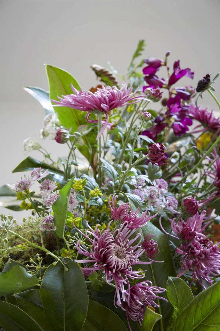 A late autumn bunch that includes Chrysanthemum ‘Saratov Lilac’, bay, ivy and astrantia.