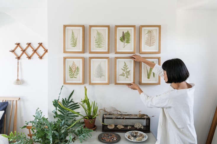 the power of symmetry: fern leaves in simple wooden frames impose order on a bo 16