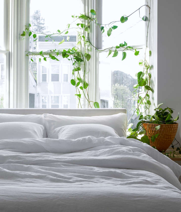 A  meandering ‘Jade’ pothos plant frames the bed. Excerpted from Decorating with Plants by Baylor Chapman (Artisan Books). Copyright © \20\19. Photograph by Aubrie Pick. (See ‘Decorating With Plants’: 6 Ideas to Steal from a New Book by Baylor Chapman.)