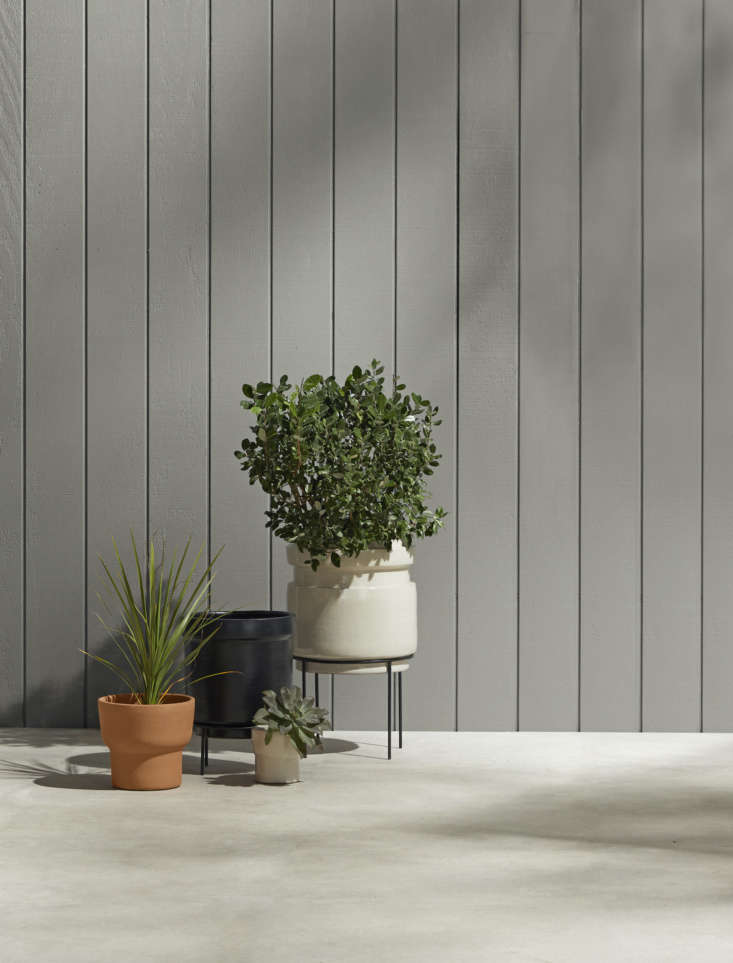 the charming earthenware planters in rejuvenation’s brice collection come in  16