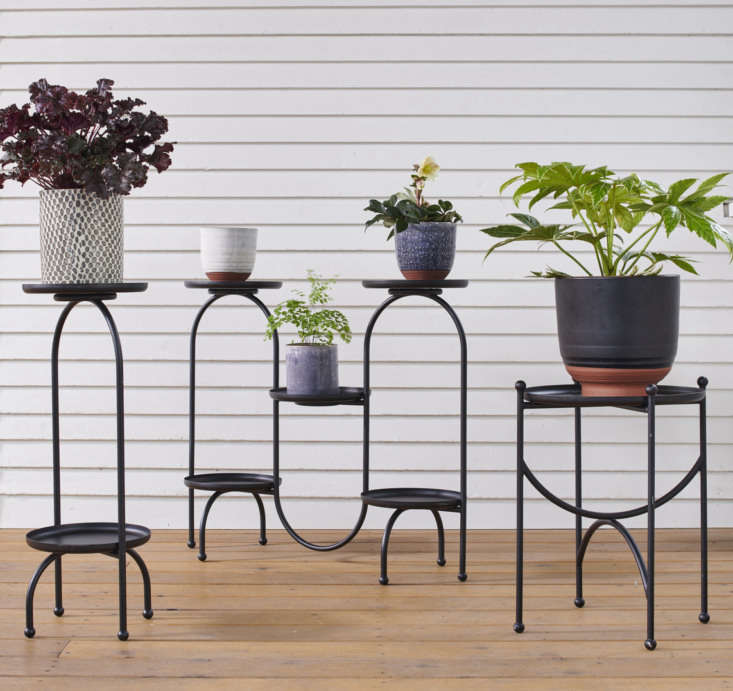 rejuvenation’s got plant stands, too. mix and match any of their petite plant 14