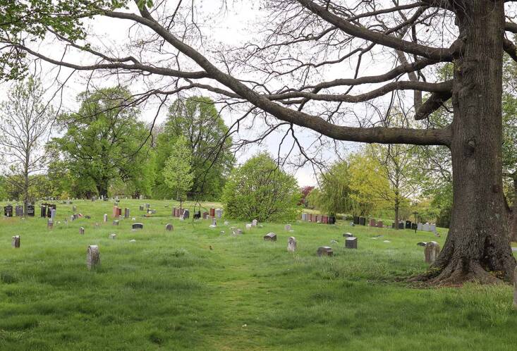 Spring’s Trees at Historic Green-Wood Cemetery in Brooklyn