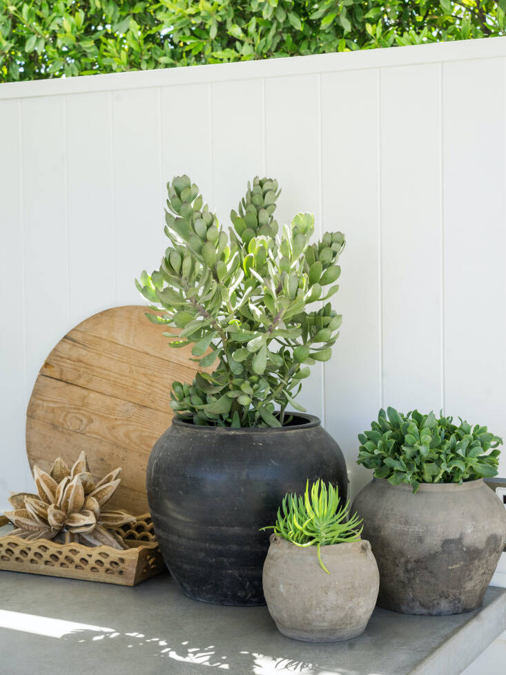 Wood likes asymmetry in her planter groupings, often placing three related but mismatched pots together in a group.