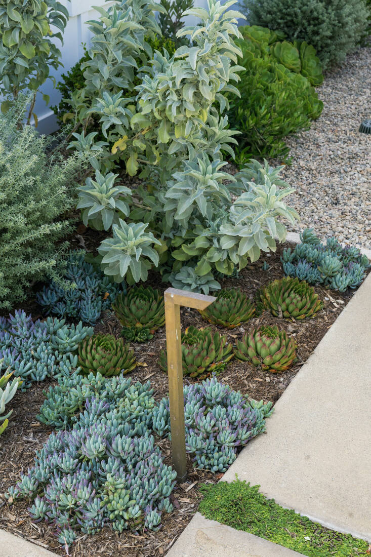 A pathlight makes the walkway plantings even more of an attention-grabber come nightfall.