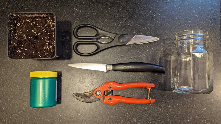 Some of the tools you&#8\2\17;ll need: small pots, sterile potting mix, glass jar, rooting hormone, scissors, a sharp knife, and pruners.