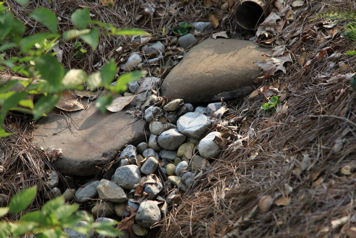 A mix of medium and large stones positioned near a downspout prevent soil erosion and mimic the look of a natural stream.
