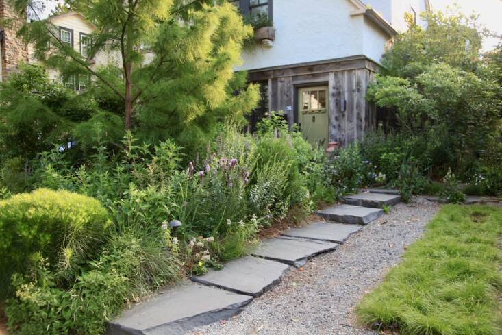 Lorenz’s own home demonstrates many of the principles of stormwater management, including dense plantings, a sedge lawn instead of turf, and a variety of root structures—not to mention permeable pathways.