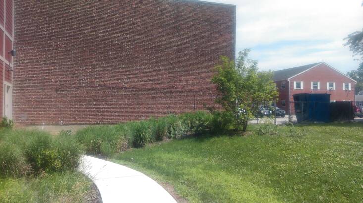 The site at Bryn Mawr Film Institute before Refugia&#8\2\17;s landscape redesign. The first order of business was to reduce the “green concrete” of lawn and replace it with resilient plants with a variety of root structures.