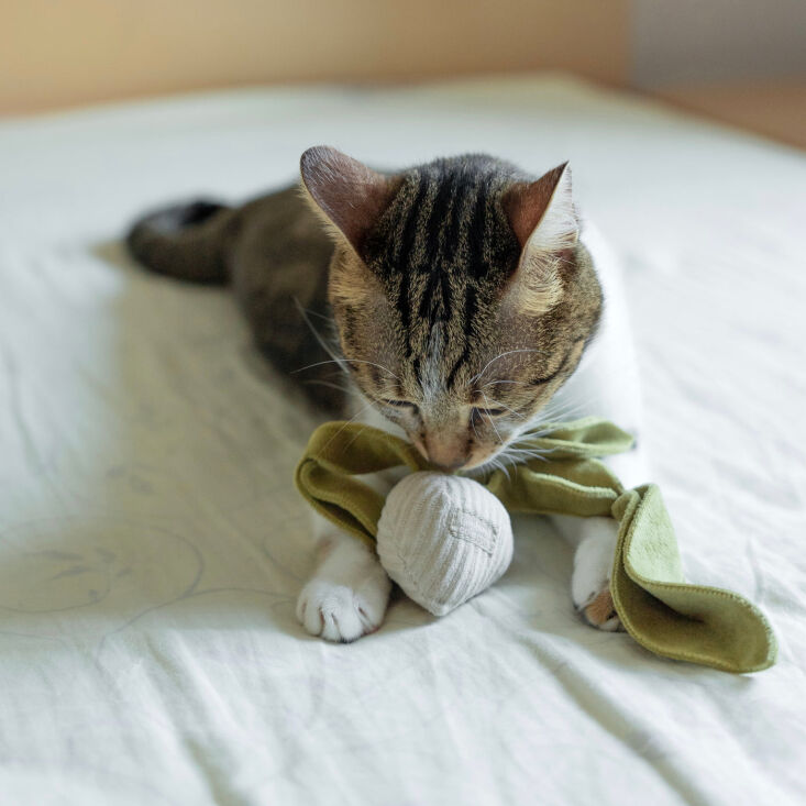 Squeaky Crinkly Radish Cat Toy from Lambwolf Collective