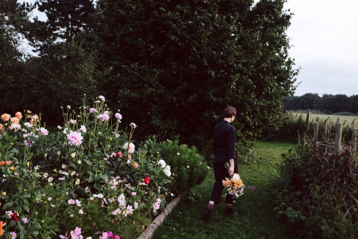 Beyond the Meadows, by Susann Probst and Yannic Schon, Cut Flower Garden