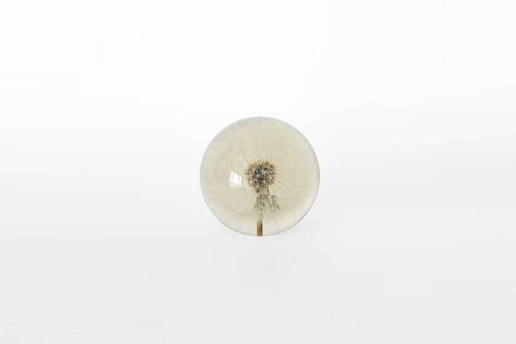 Garden Objects Paperweight Dandelion Large