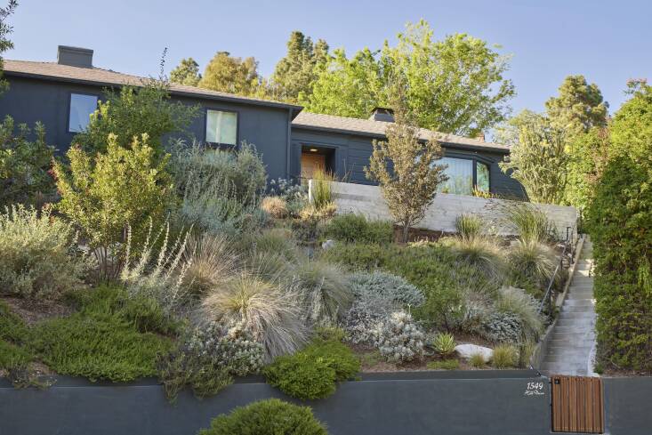 Fi Campbell, Boulders