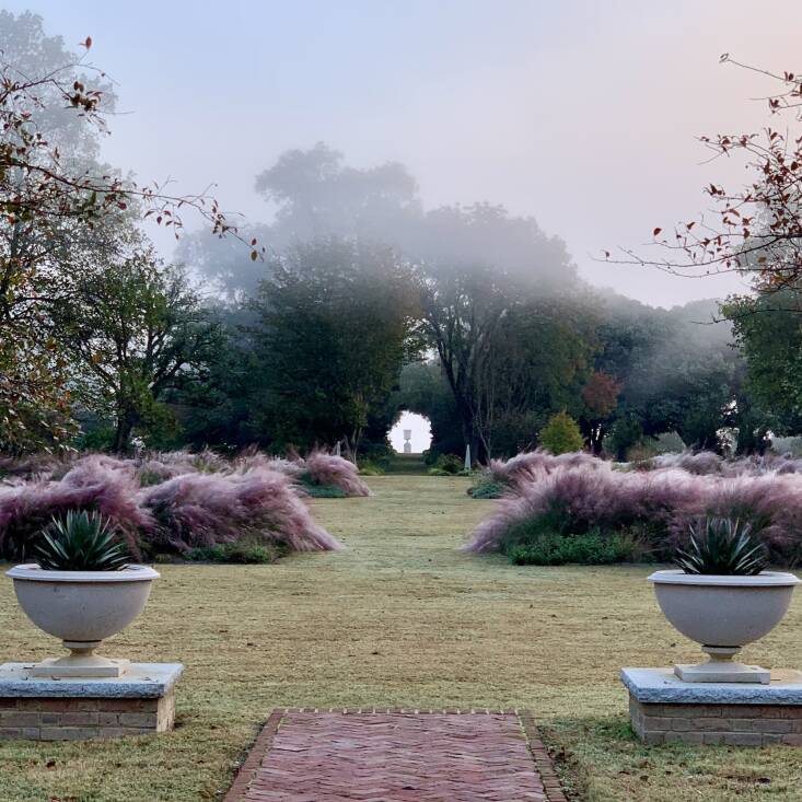 Jean Mark Flack Muhly Grass