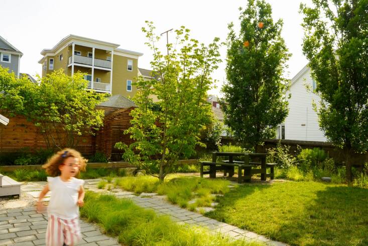 Lu La Depave Project in Somerville