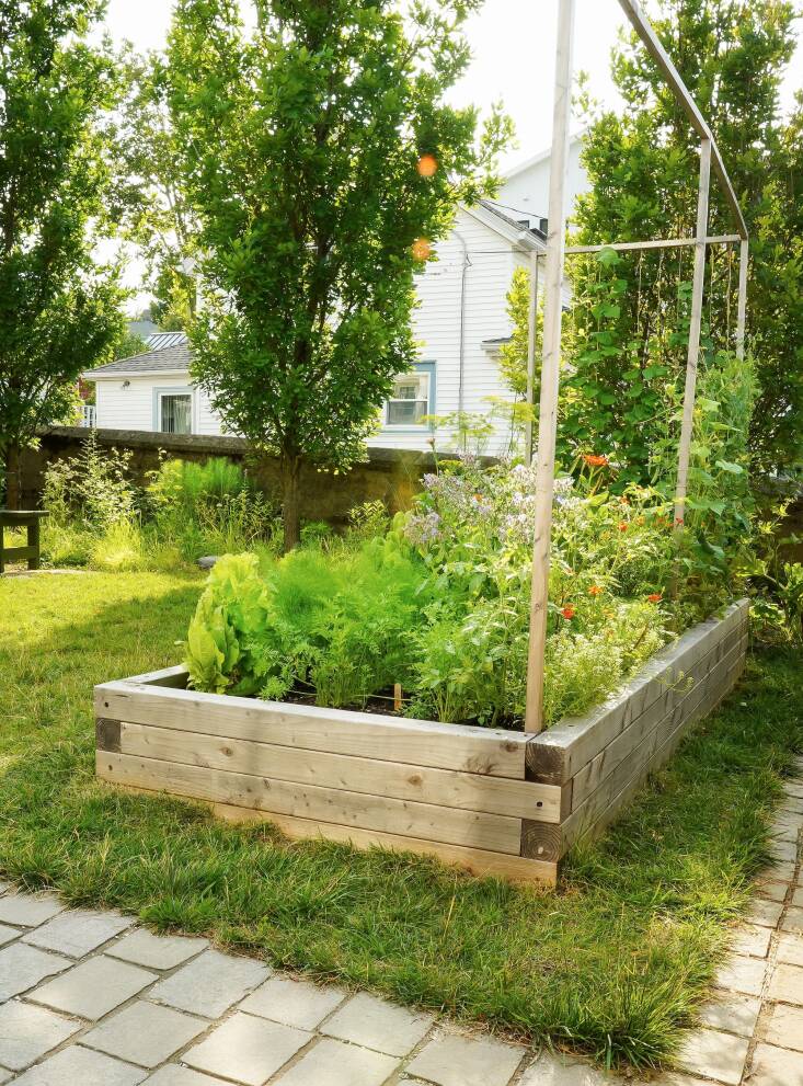 Lu La Depave Project in Somerville