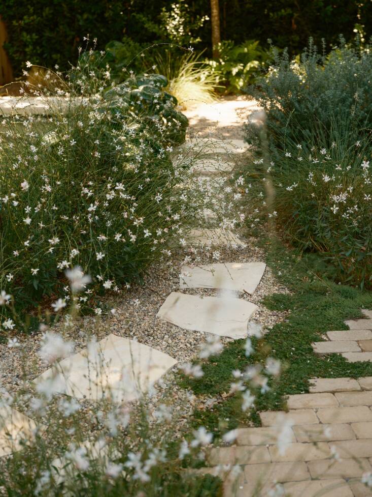 Santa Monica Project by ORCA