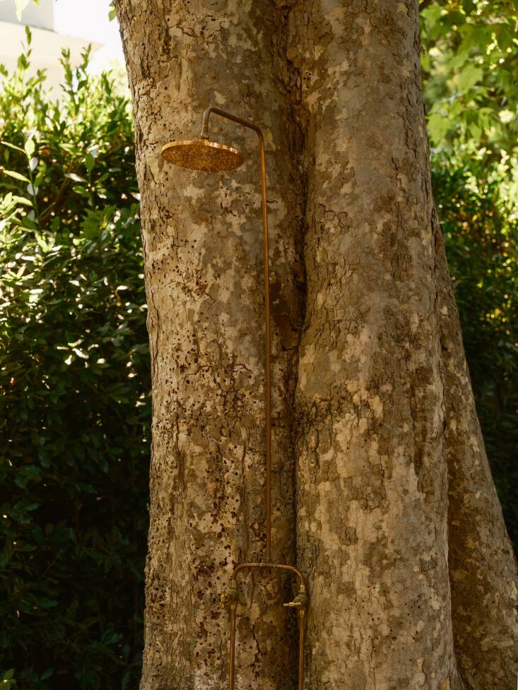 Santa Monica Project by ORCA