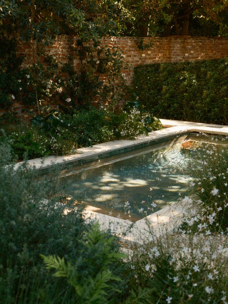 Santa Monica Project by ORCA