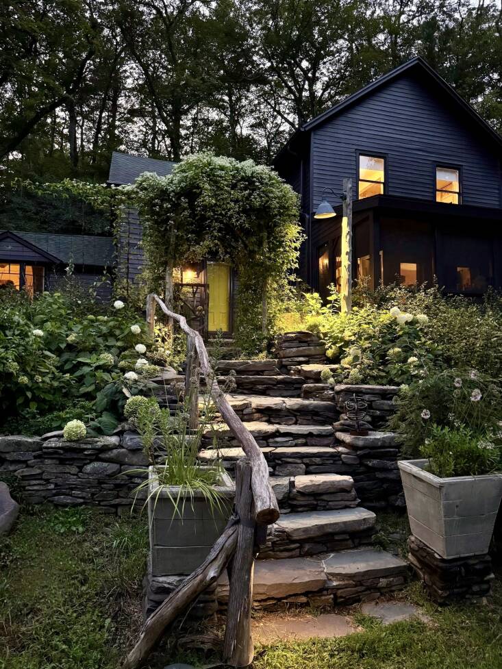 Clematis Virginiana at Crows Nest by Jean-Marc Flack