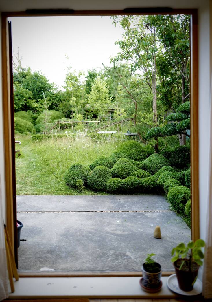 Jake Hobson Garden Visit