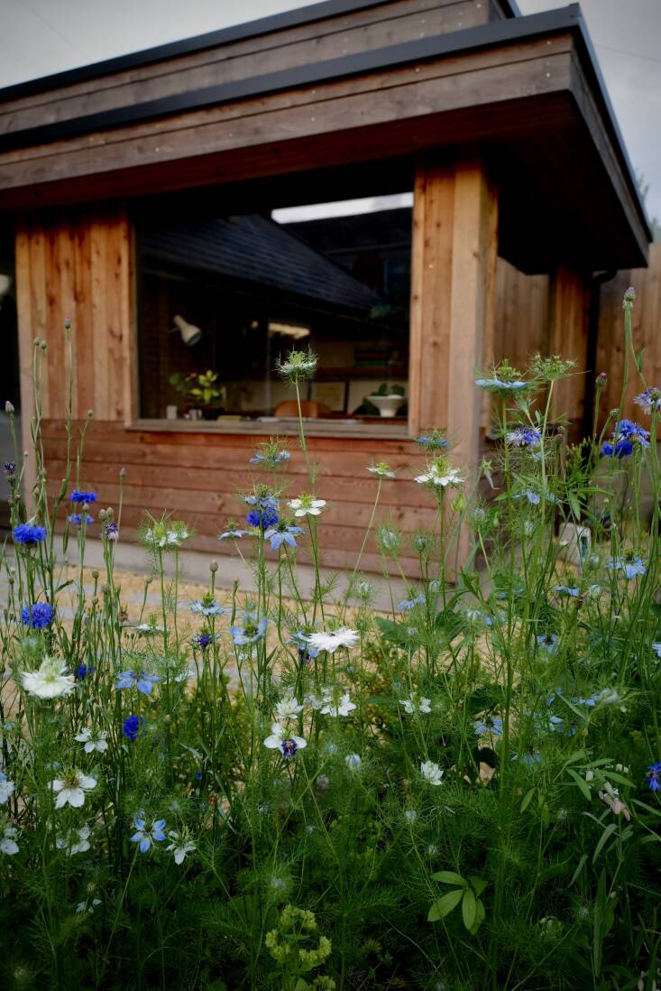 Jake Hobson Garden Visit