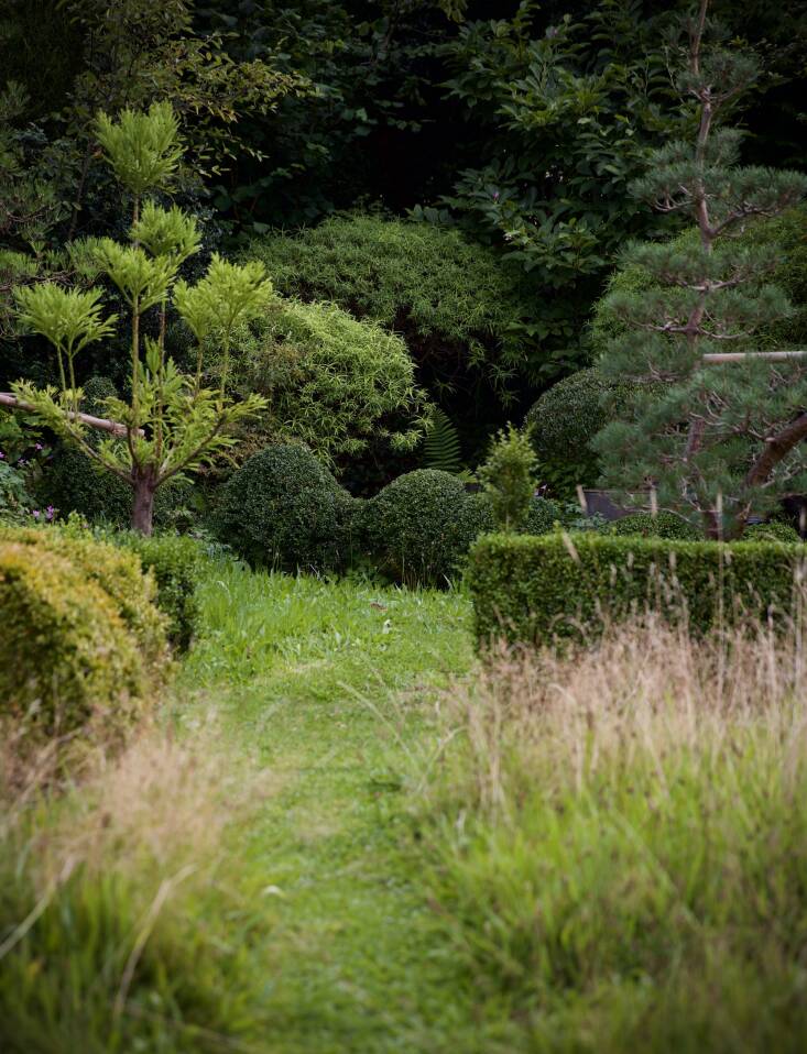 Jake Hobson Garden Visit