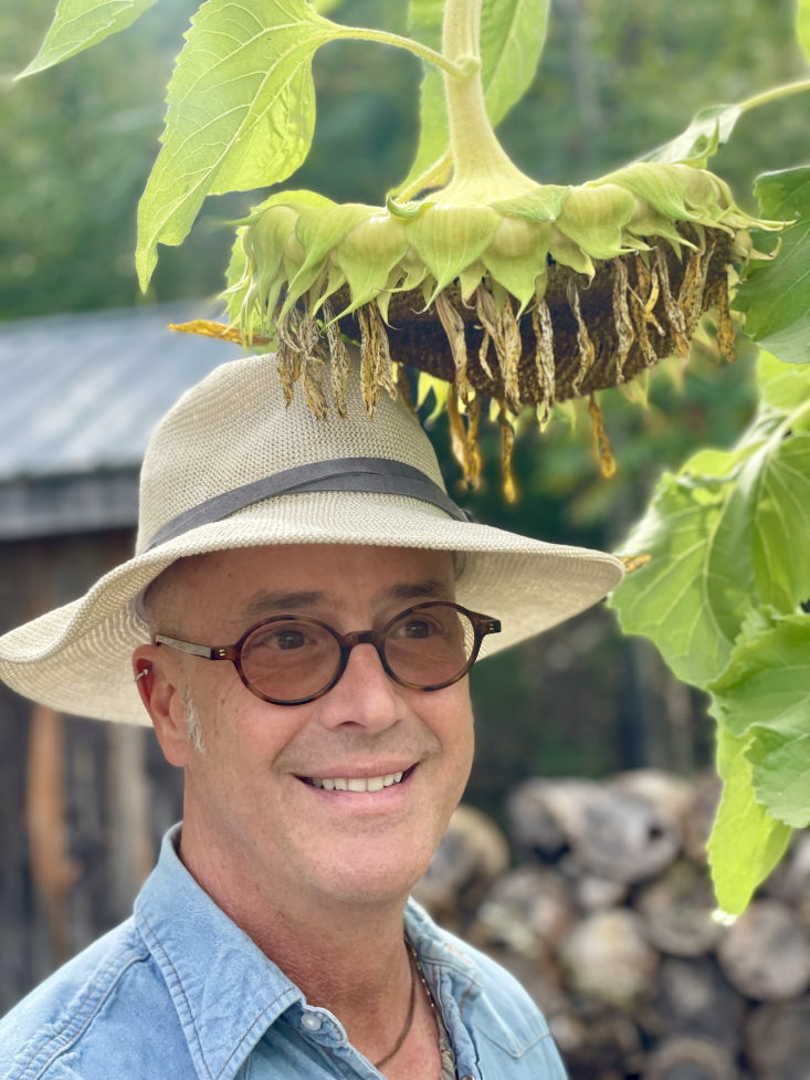 Ilustração do artigo