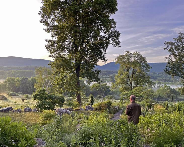 Jean-Marc Flack in the Rambunctious Garden