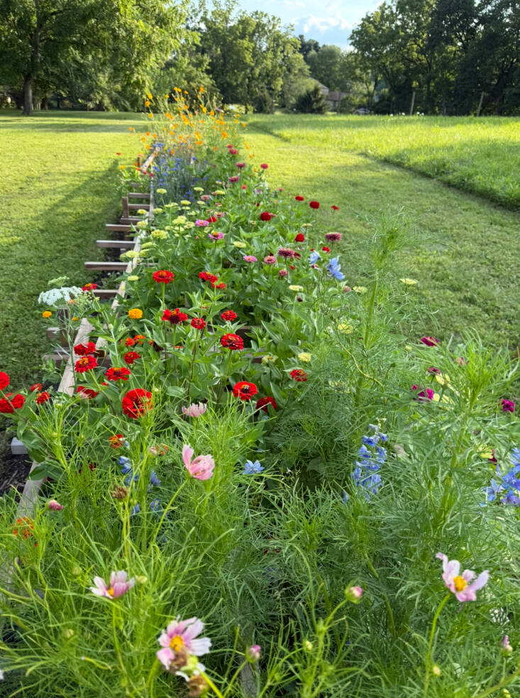 Sally Kohn DIY Cut Flower Garden Wood Supports