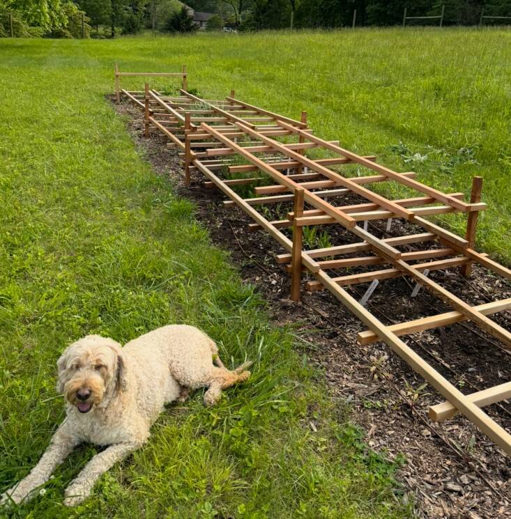 Sally Kohn DIY Cut Flower Garden Wood Supports