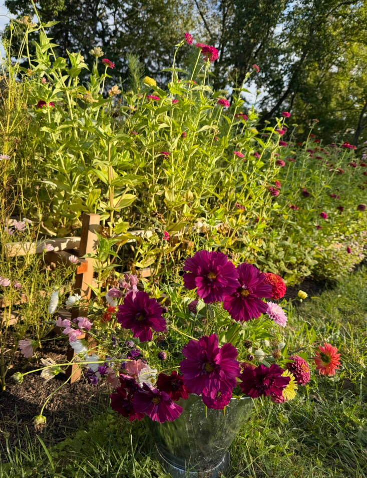 Sally Kohn DIY Cut Flower Garden Wood Supports
