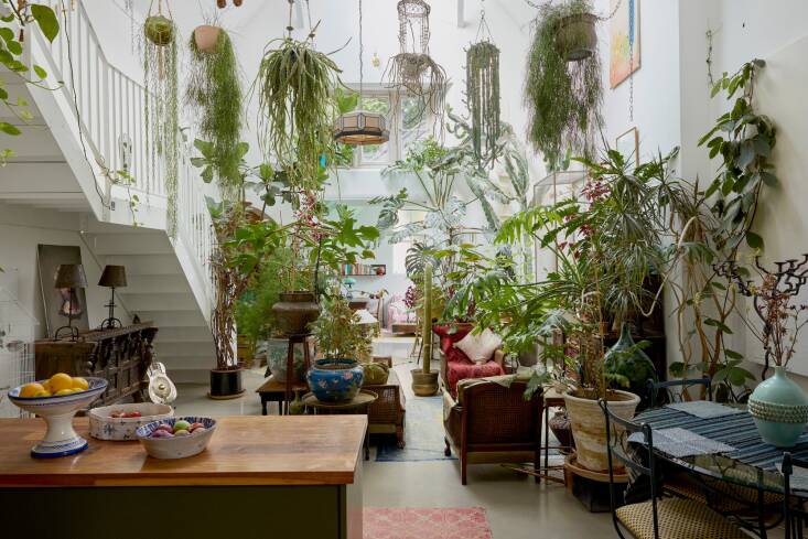 The center of the open-plan living space is a triple-height sitting area with clerestory windows and a preponderance of houseplants.