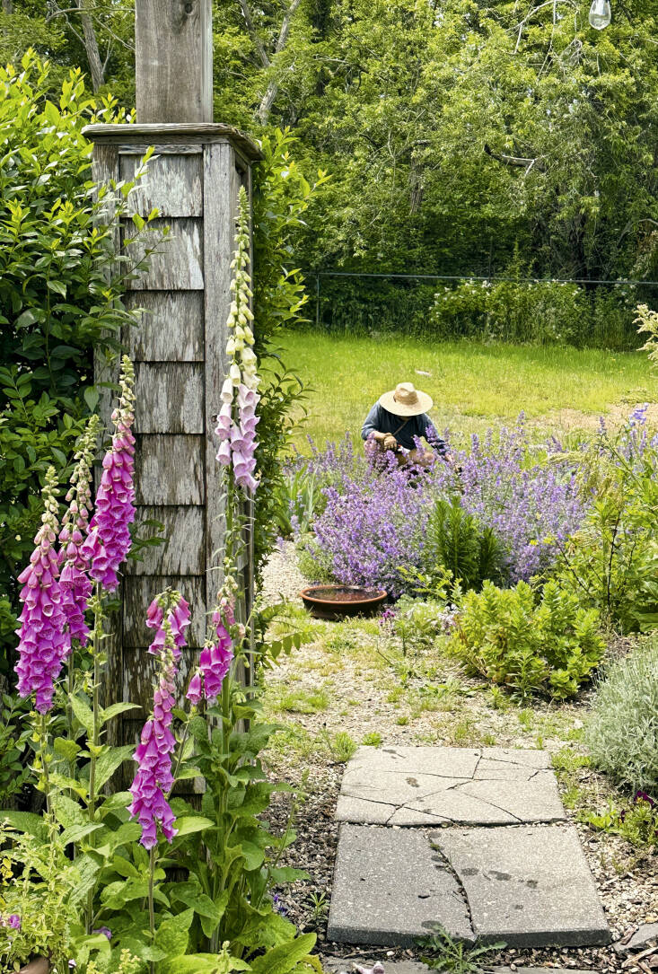Stephen at work in his garden