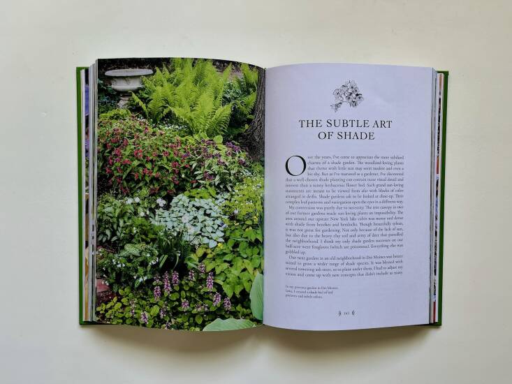 This essay is excerpted and adapted from The Gardener\2\17;s Mindset by Stephen Orr, which is available wherever books are sold, including Bookshop.org