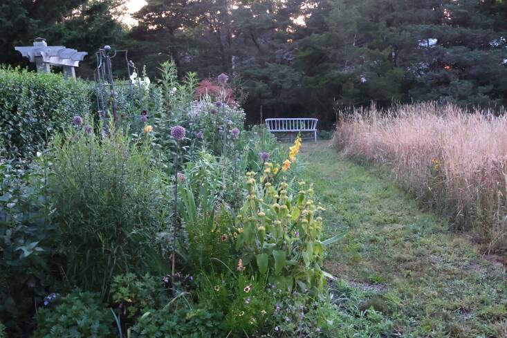 Stephen\2\17;s Cape Cod garden in summer