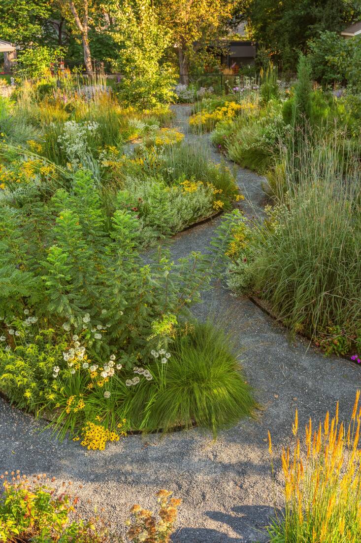 After studying the Dust Bowl’s devastating history in her master’s program, writer Ana McCracken was inspired to create an “ode to prairie” on the side lot of her home near Iowa State University. Photograph by Bob Stefko.